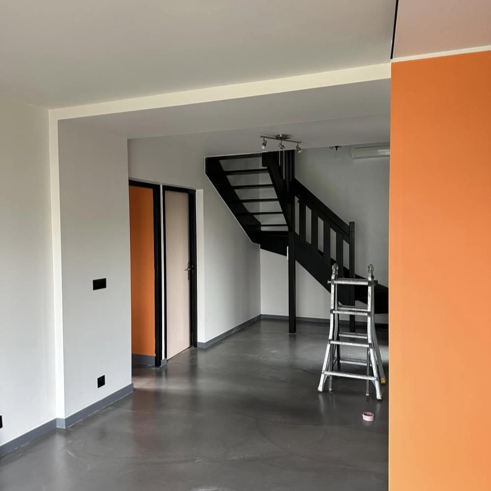 BK Renov Peintre TULLINS